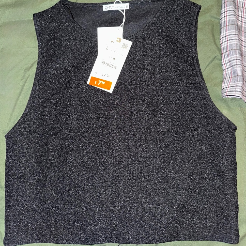 Zara cropped top